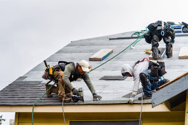 Professional Roof Replacement technician working in Olga, WA